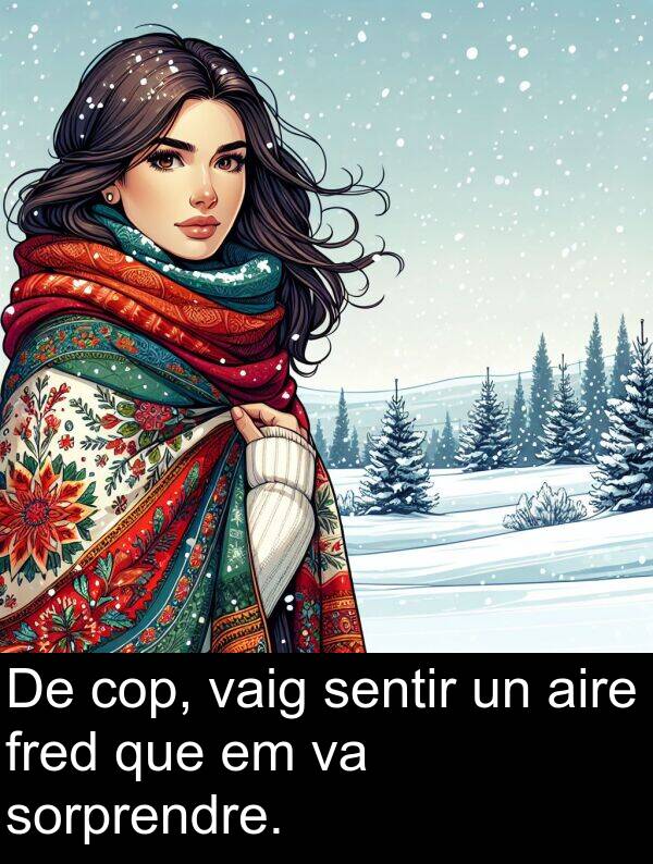 fred: De cop, vaig sentir un aire fred que em va sorprendre.