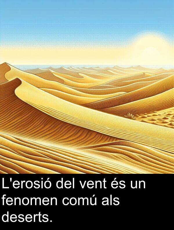 vent: L'erosió del vent és un fenomen comú als deserts.