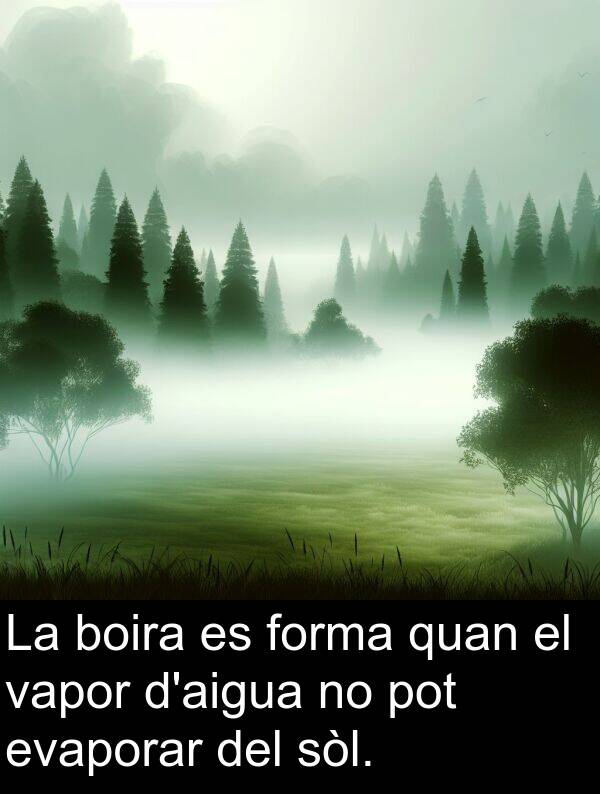 forma: La boira es forma quan el vapor d'aigua no pot evaporar del sòl.