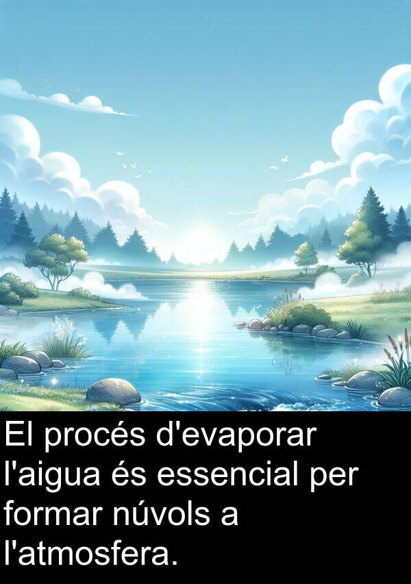 procés: El procés d'evaporar l'aigua és essencial per formar núvols a l'atmosfera.