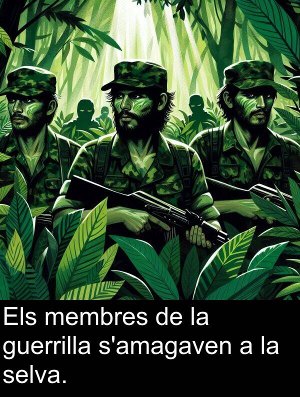 selva: Els membres de la guerrilla s'amagaven a la selva.