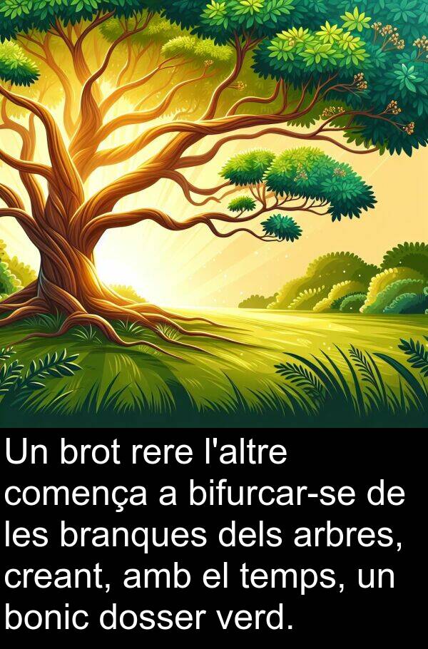 bonic: Un brot rere l'altre comença a bifurcar-se de les branques dels arbres, creant, amb el temps, un bonic dosser verd.