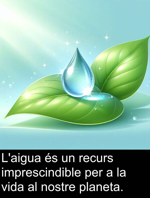 imprescindible: L'aigua és un recurs imprescindible per a la vida al nostre planeta.