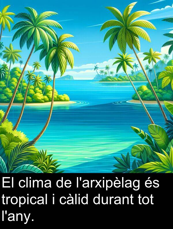tropical: El clima de l'arxipèlag és tropical i càlid durant tot l'any.