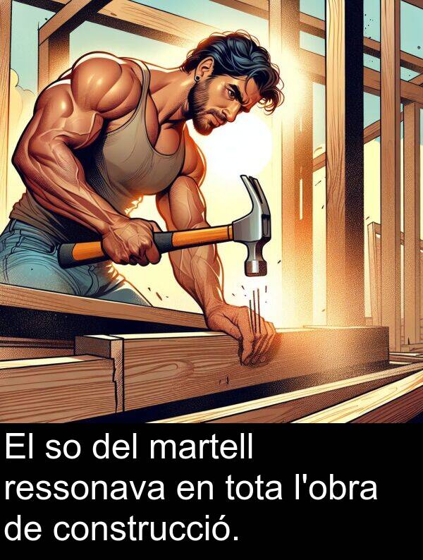 tota: El so del martell ressonava en tota l'obra de construcció.