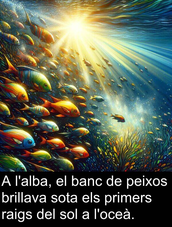 brillava: A l'alba, el banc de peixos brillava sota els primers raigs del sol a l'oceà.