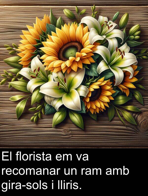 florista: El florista em va recomanar un ram amb gira-sols i lliris.