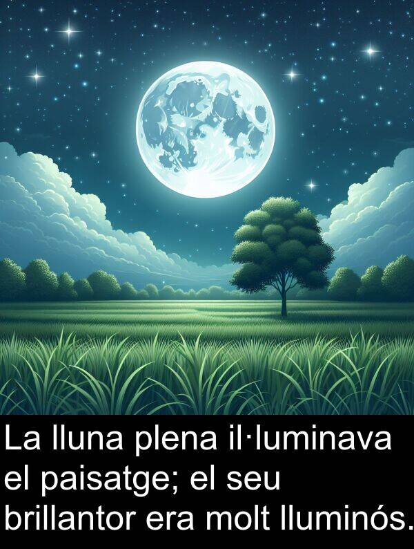 lluna: La lluna plena il·luminava el paisatge; el seu brillantor era molt lluminós.