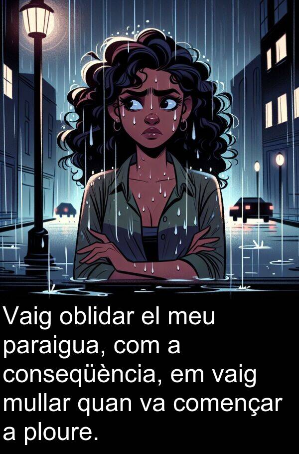 començar: Vaig oblidar el meu paraigua, com a conseqüència, em vaig mullar quan va començar a ploure.