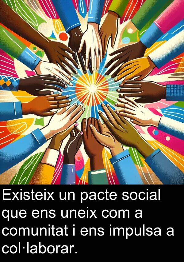 comunitat: Existeix un pacte social que ens uneix com a comunitat i ens impulsa a col·laborar.