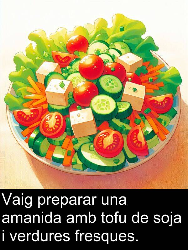 tofu: Vaig preparar una amanida amb tofu de soja i verdures fresques.