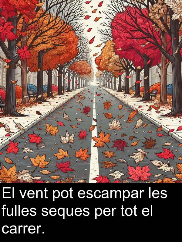 seques: El vent pot escampar les fulles seques per tot el carrer.