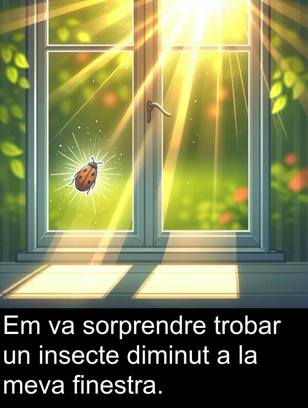 sorprendre: Em va sorprendre trobar un insecte diminut a la meva finestra.