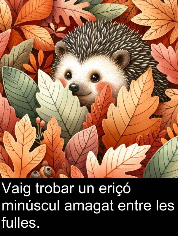 entre: Vaig trobar un eriçó minúscul amagat entre les fulles.