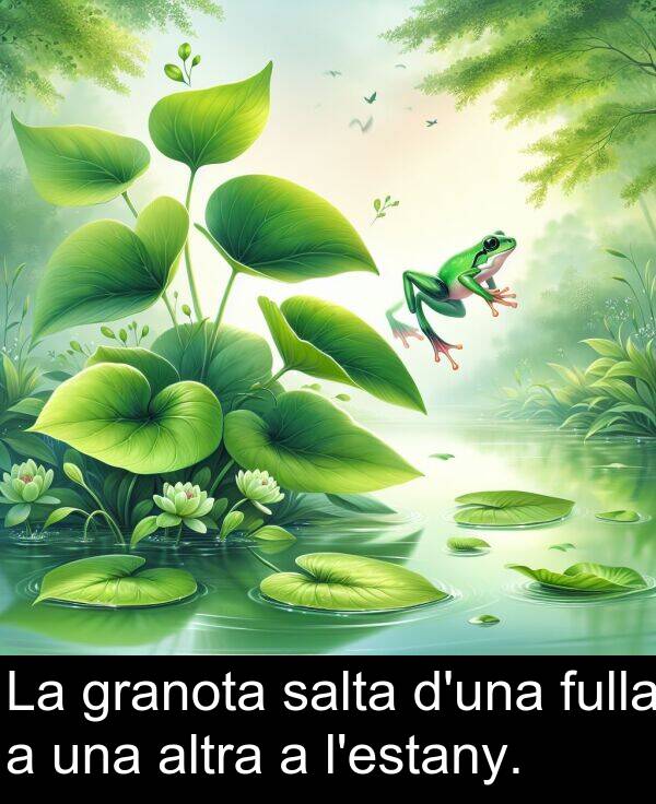 salta: La granota salta d'una fulla a una altra a l'estany.