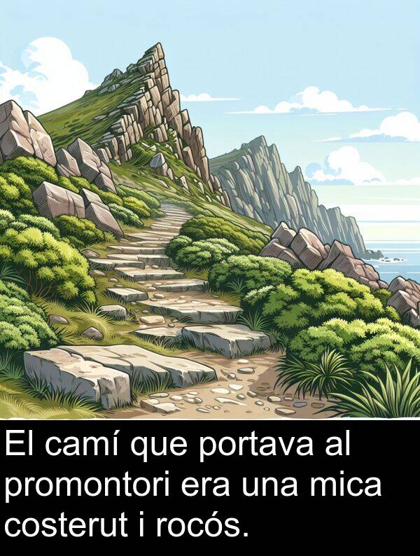 camí: El camí que portava al promontori era una mica costerut i rocós.