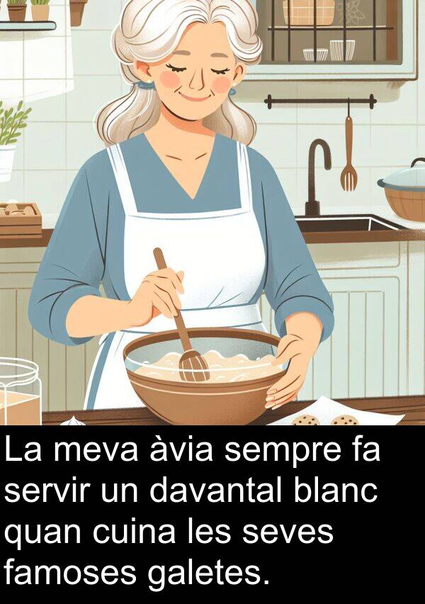 davantal: La meva àvia sempre fa servir un davantal blanc quan cuina les seves famoses galetes.