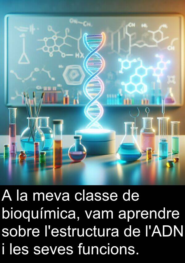 bioquímica: A la meva classe de bioquímica, vam aprendre sobre l'estructura de l'ADN i les seves funcions.