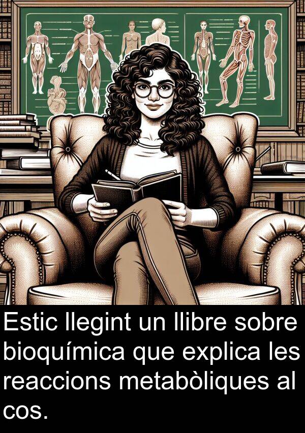 cos: Estic llegint un llibre sobre bioquímica que explica les reaccions metabòliques al cos.