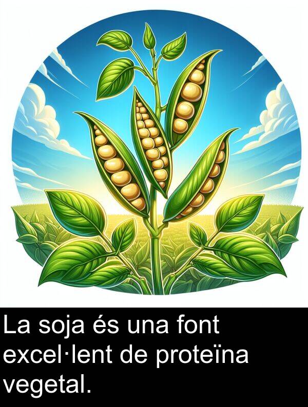 font: La soja és una font excel·lent de proteïna vegetal.