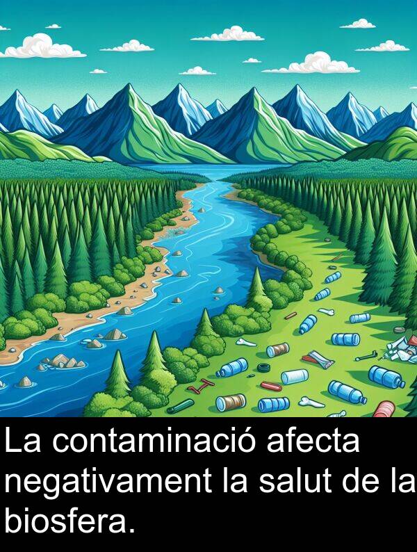 negativament: La contaminació afecta negativament la salut de la biosfera.