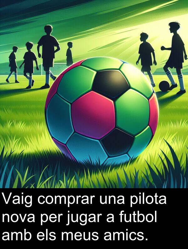 amics: Vaig comprar una pilota nova per jugar a futbol amb els meus amics.