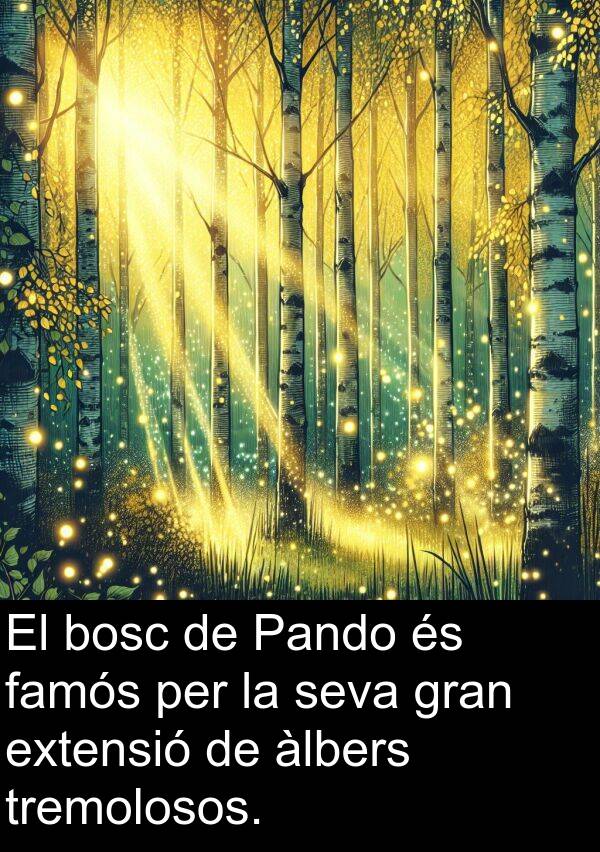 famós: El bosc de Pando és famós per la seva gran extensió de àlbers tremolosos.