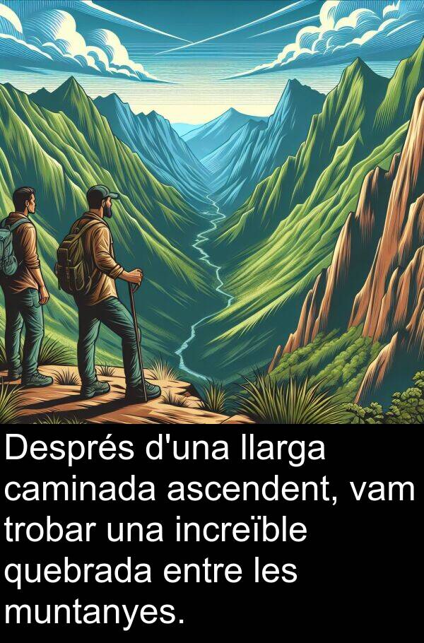 muntanyes: Després d'una llarga caminada ascendent, vam trobar una increïble quebrada entre les muntanyes.