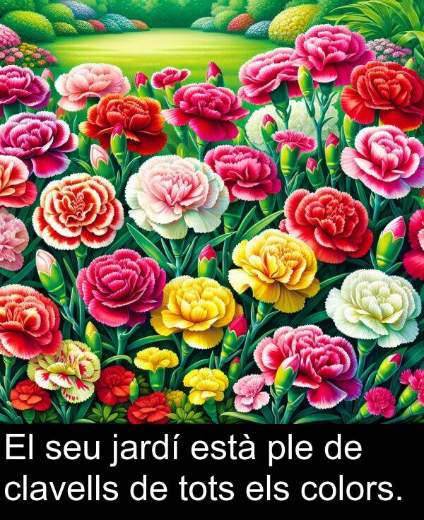 està: El seu jardí està ple de clavells de tots els colors.