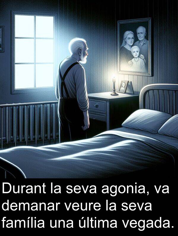 demanar: Durant la seva agonia, va demanar veure la seva família una última vegada.