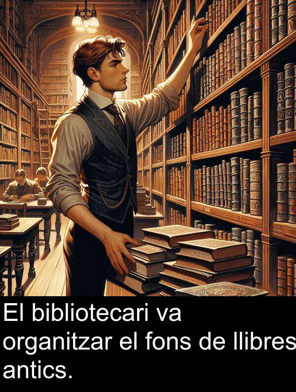 llibres: El bibliotecari va organitzar el fons de llibres antics.