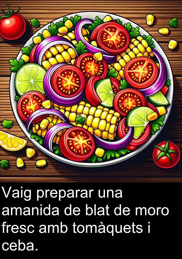 tomàquets: Vaig preparar una amanida de blat de moro fresc amb tomàquets i ceba.