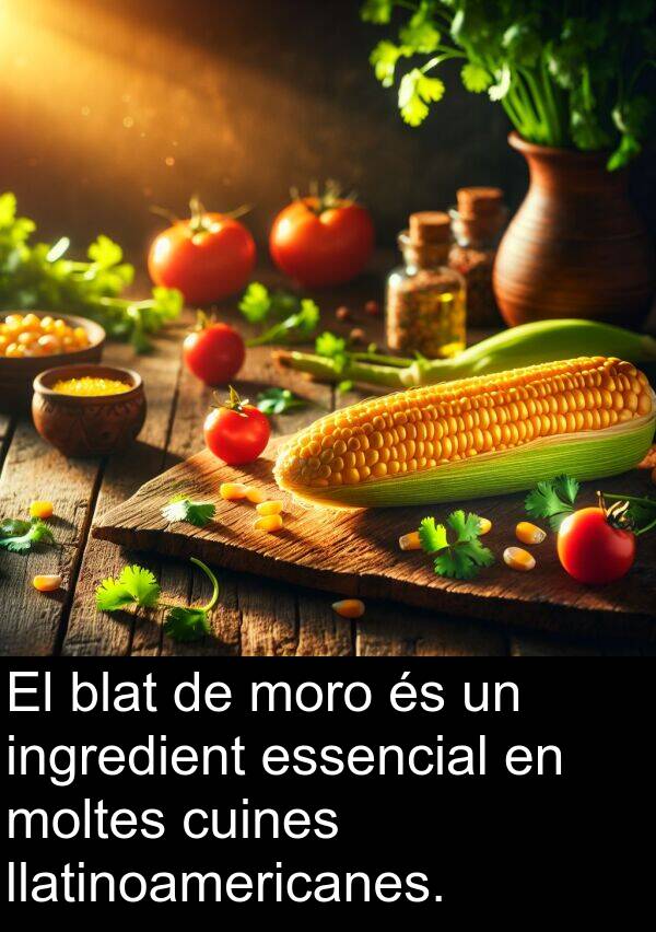 llatinoamericanes: El blat de moro és un ingredient essencial en moltes cuines llatinoamericanes.