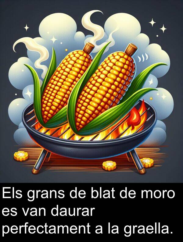 perfectament: Els grans de blat de moro es van daurar perfectament a la graella.
