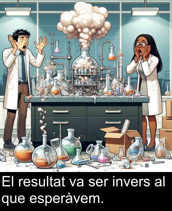 ser: El resultat va ser invers al que esperàvem.