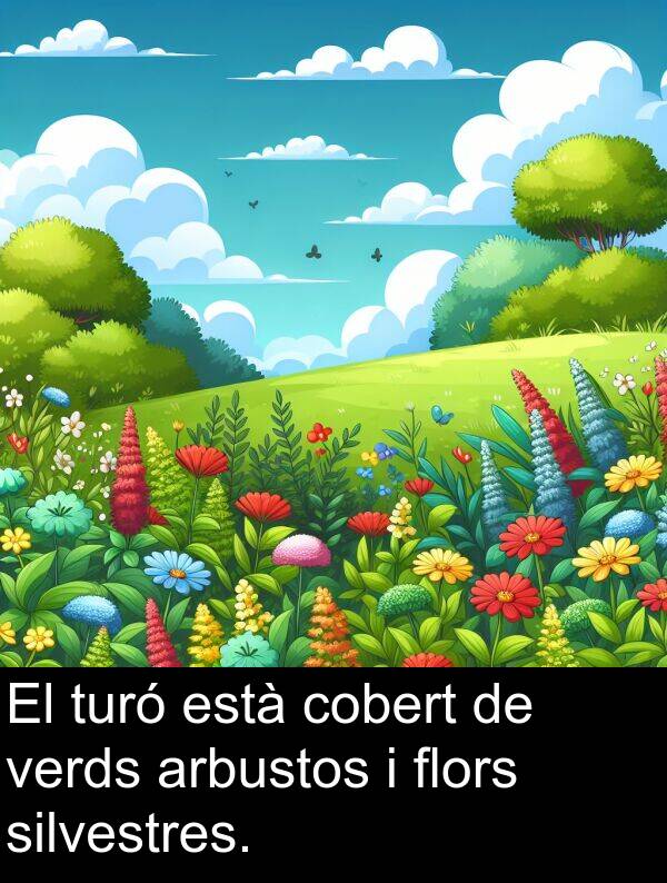 verds: El turó està cobert de verds arbustos i flors silvestres.