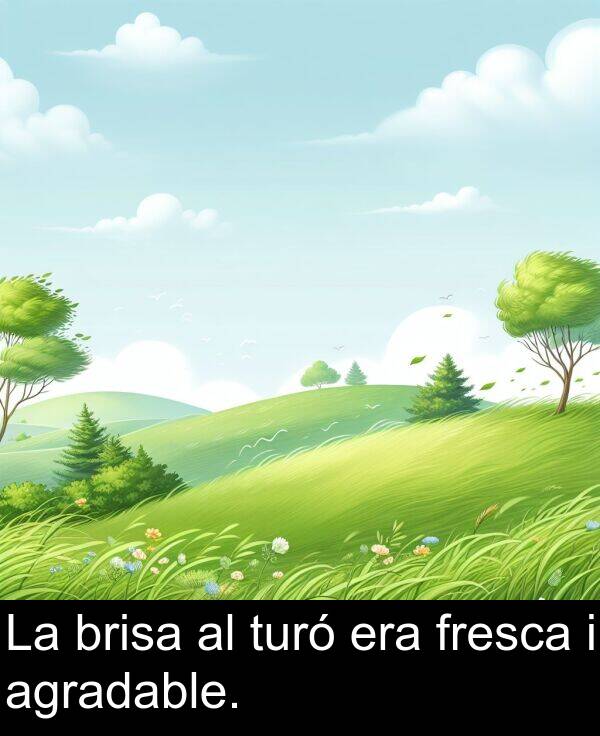 brisa: La brisa al turó era fresca i agradable.
