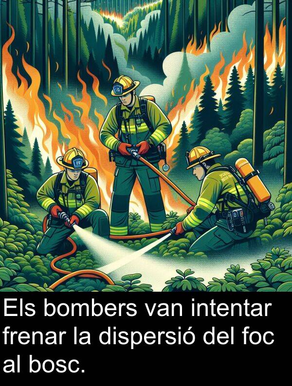 intentar: Els bombers van intentar frenar la dispersió del foc al bosc.