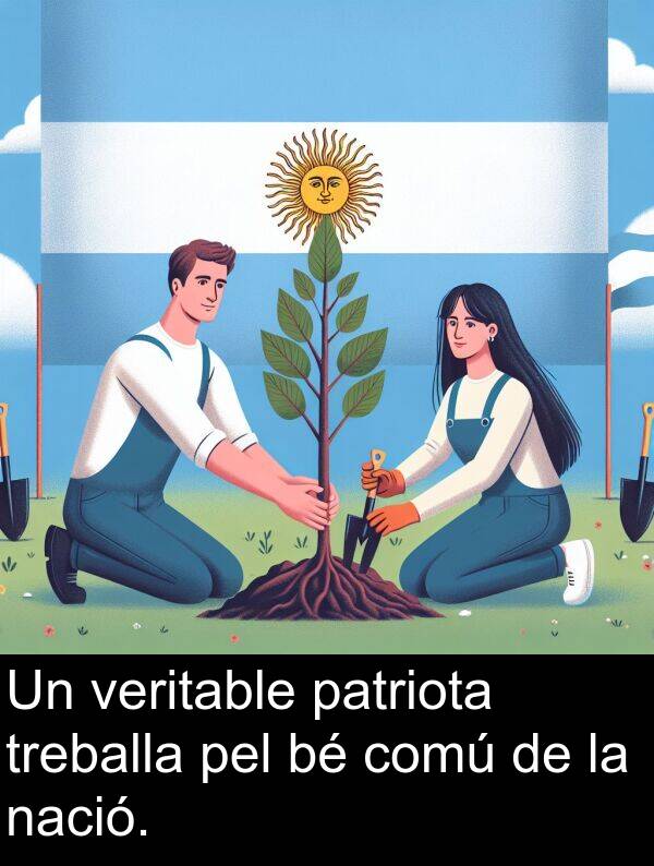 patriota: Un veritable patriota treballa pel bé comú de la nació.