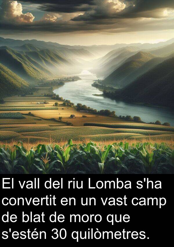 vall: El vall del riu Lomba s'ha convertit en un vast camp de blat de moro que s'estén 30 quilòmetres.