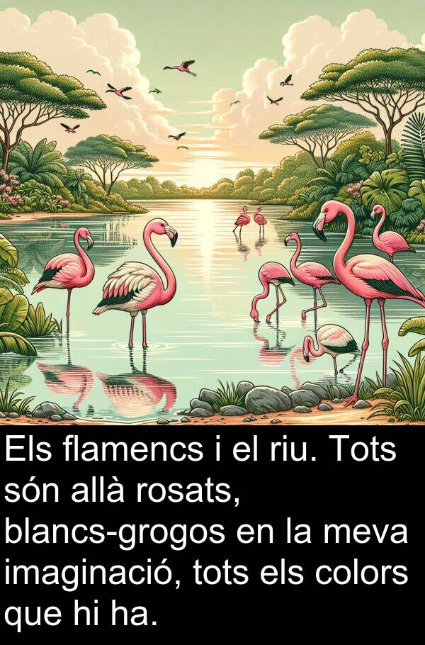 ha: Els flamencs i el riu. Tots són allà rosats, blancs-grogos en la meva imaginació, tots els colors que hi ha.