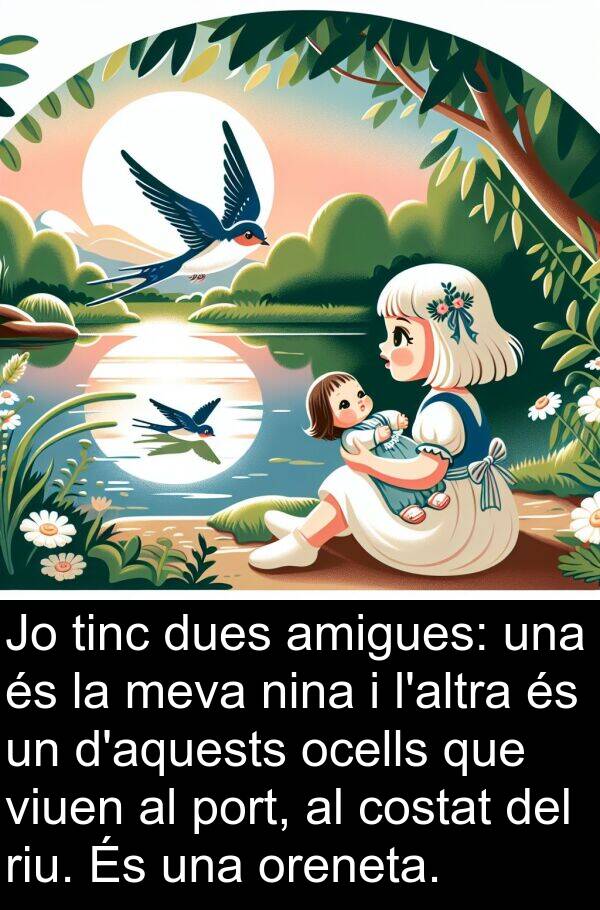 port: Jo tinc dues amigues: una és la meva nina i l'altra és un d'aquests ocells que viuen al port, al costat del riu. És una oreneta.