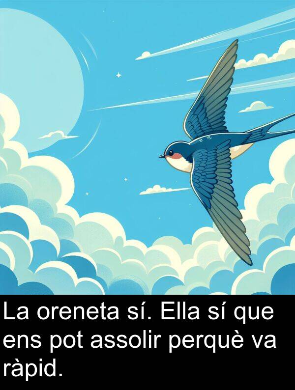perquè: La oreneta sí. Ella sí que ens pot assolir perquè va ràpid.