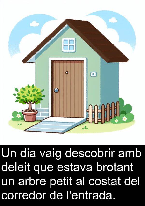 descobrir: Un dia vaig descobrir amb deleit que estava brotant un arbre petit al costat del corredor de l'entrada.
