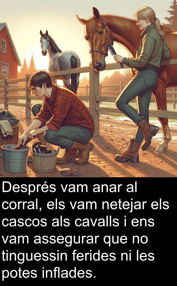 cascos: Després vam anar al corral, els vam netejar els cascos als cavalls i ens vam assegurar que no tinguessin ferides ni les potes inflades.