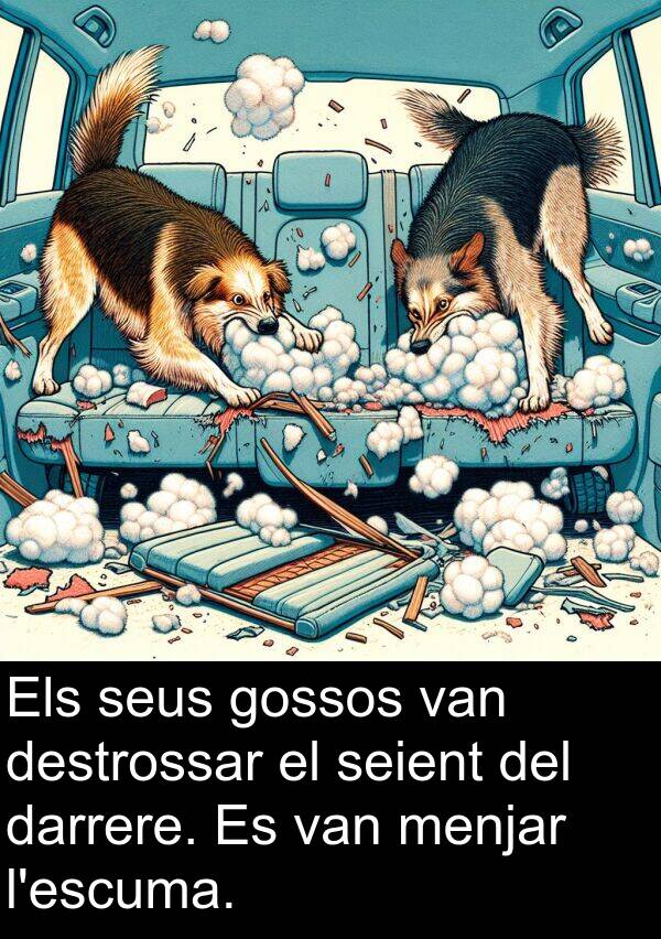 darrere: Els seus gossos van destrossar el seient del darrere. Es van menjar l'escuma.