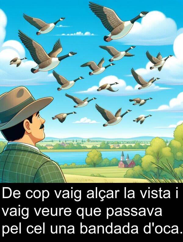 passava: De cop vaig alçar la vista i vaig veure que passava pel cel una bandada d'oca.