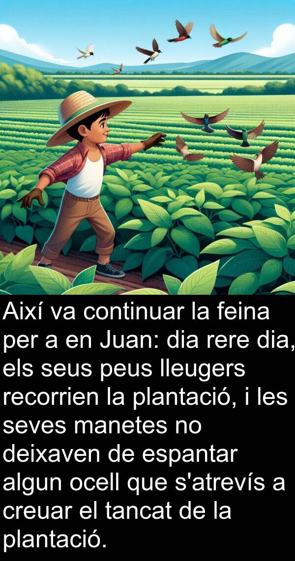 deixaven: Així va continuar la feina per a en Juan: dia rere dia, els seus peus lleugers recorrien la plantació, i les seves manetes no deixaven de espantar algun ocell que s'atrevís a creuar el tancat de la plantació.