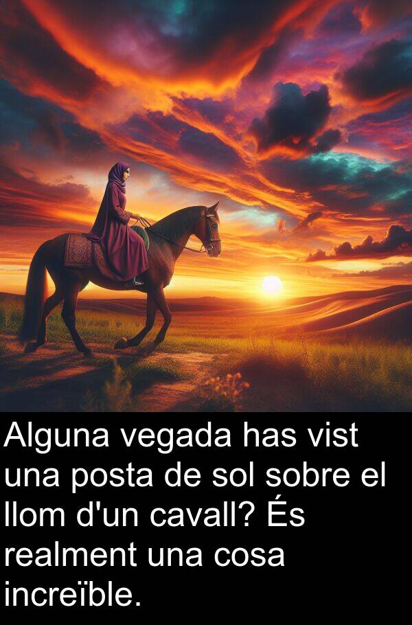 cosa: Alguna vegada has vist una posta de sol sobre el llom d'un cavall? És realment una cosa increïble.