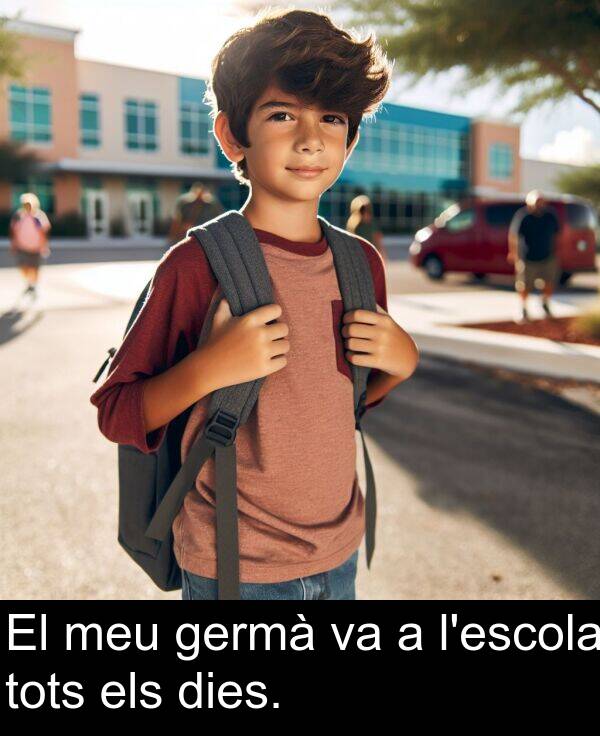 els: El meu germà va a l'escola tots els dies.